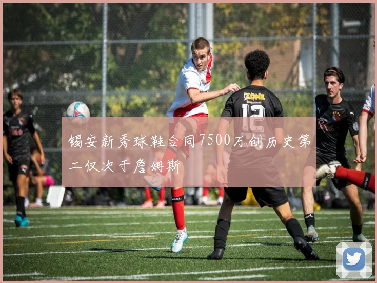 锡安新秀球鞋合同7500万创历史第二仅次于詹姆斯